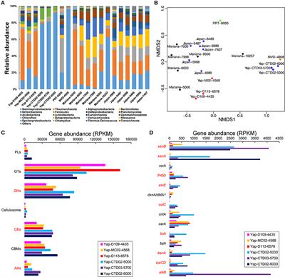 Metagenomics Reveals Microbial Diversity and Metabolic Potentials of Seawater and Surface Sediment From a Hadal Biosphere at the Yap Trench